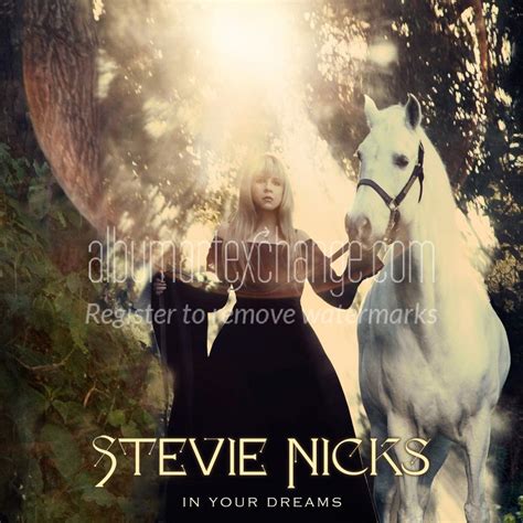 stevie nicks dreams cover